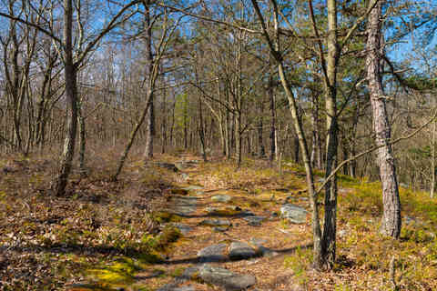 Hiking trail and landscape on a beautiful Spring morning at Seven Tubs Recreation Area in Wilkes-Barre, Pennsylvania, USA.