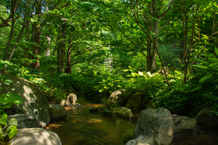 Water gently flowing through the manicured gardens.  Anderson Japenese garden, Rockford, Illinois.
#japanesegarden #oriental #traditional #peaceful #rockford