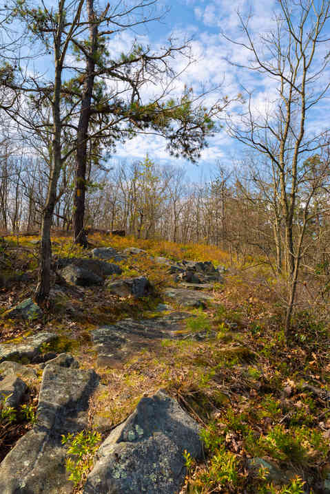 Hiking trail and landscape on a beautiful Spring morning at Seven Tubs Recreation Area in Wilkes-Barre, Pennsylvania, USA.