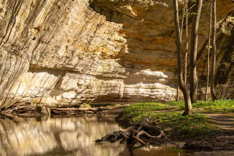 Landscape in Illinois Canyon on a beautiful Spring afternoon at Starved Rock State Park, Illinois, USA.