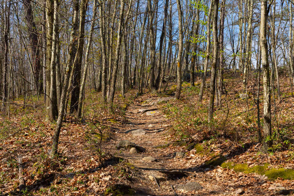 Hiking trail and landscape on a beautiful Spring morning at Seven Tubs Recreation Area in Wilkes-Barre, Pennsylvania, USA.