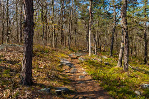 Hiking trail and landscape on a beautiful Spring morning at Seven Tubs Recreation Area in Wilkes-Barre, Pennsylvania, USA.