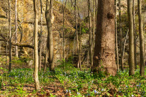 Landscape in Illinois Canyon on a beautiful Spring afternoon at Starved Rock State Park, Illinois, USA.