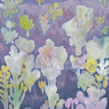 岡村一輝 okamura kazuki
plateau