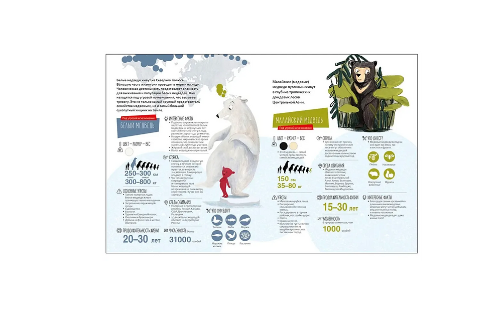 Миниатюра: Тайная миссия Плюшевого Мишки