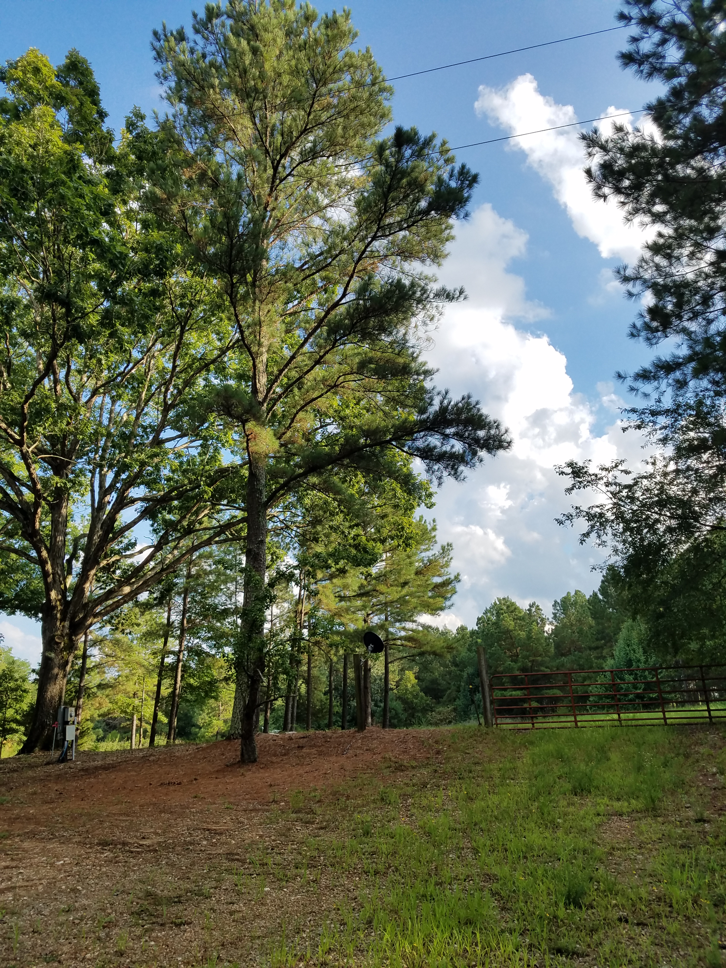 The Matthews Campground