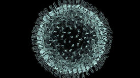 WHO - was Sie über das neue Coronavirus wissen müssen