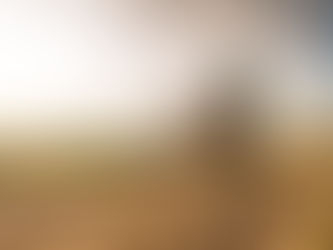 Dirt bike rider on enduro trail