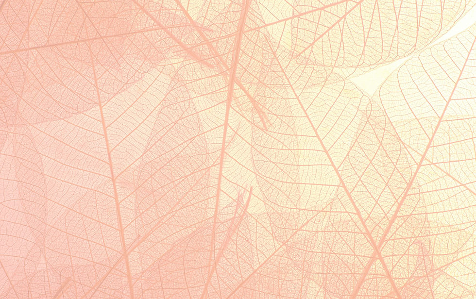 pexels-neosiam-4498792_edited_edited.jpg
