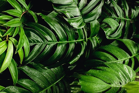 pexels-nothing-ahead-3571551_edited.jpg