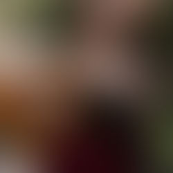 JÓVENES + CLÁSICOS EN CARABANCHEL                                   Silvia Escamilla Jiménez                 Guitarra - Solo