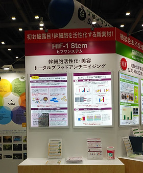 hif-1stem.jpg