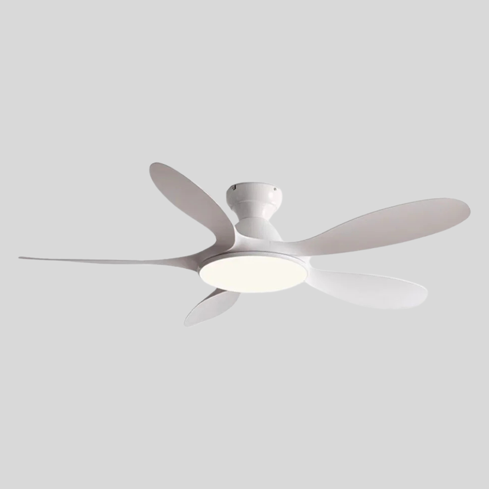 Ceilingcopter D143