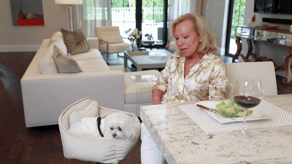 Image of Dining with Puppy