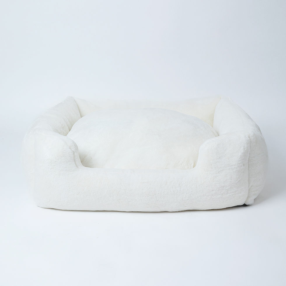 Thumbnail: Dream Cloud Bed