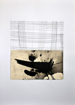 Desperate Bird 2009