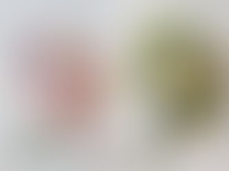 不凋谢的手捧花~~ 在未来的岁月中一直陪伴着新娘