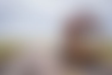 酷毙了!! 可有想过带着房子去旅游~~