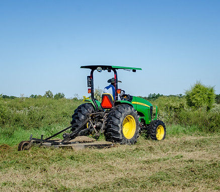 Bush Hogging or Forestry Mulching: Which Does Your Property Need?