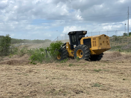 Expert Land Clearing in Paris, Texas