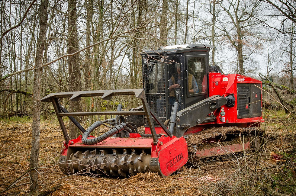 Forestry Mulching vs. Dozer Clearing: Which Is Right for Your East Texas Property?