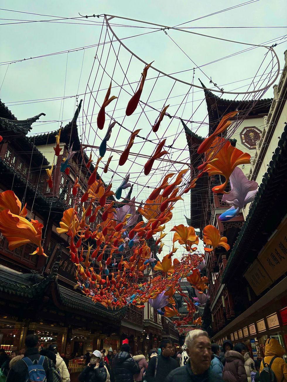 Picture I took of Yuyuan during Chinese New Year