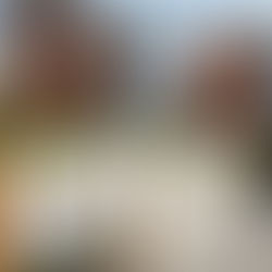 Celebrating Our Journey to Property Development