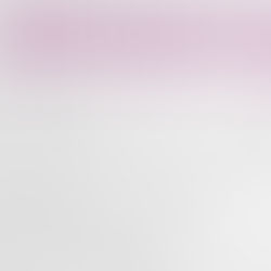 BridgeRoots' Journal Launch