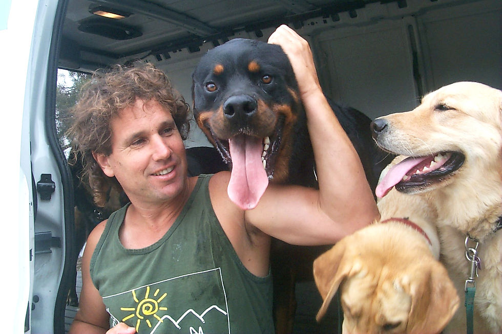 Gavin The Dog Walker1.jpg