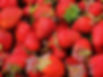Strawberries.jpg
