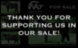 Watson Family Show Cattle | Cattle Sales | Ohio | Show Cattle for Sale