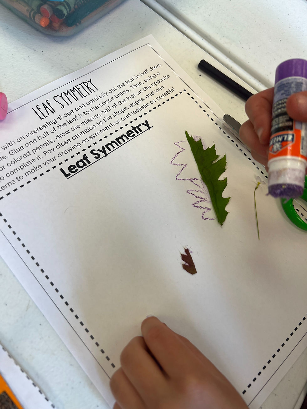 Leaf symmetry activity