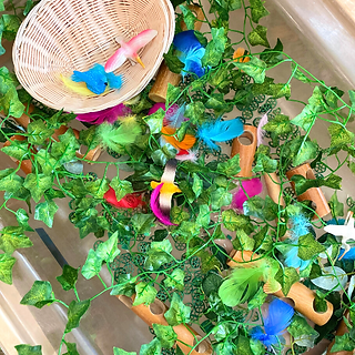 Amazon Rainforest Sensory