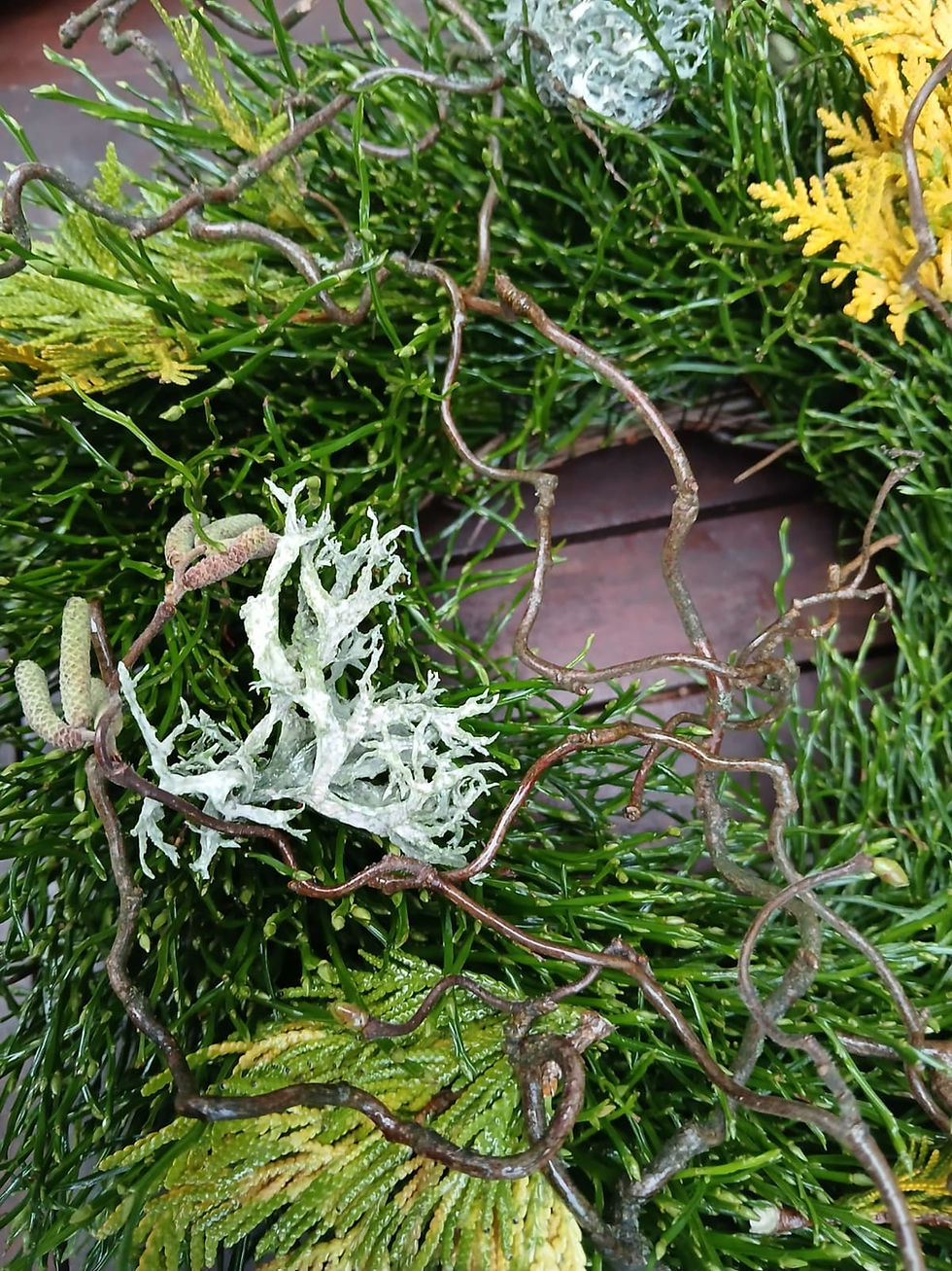 Miniaturbild: Winterliebe