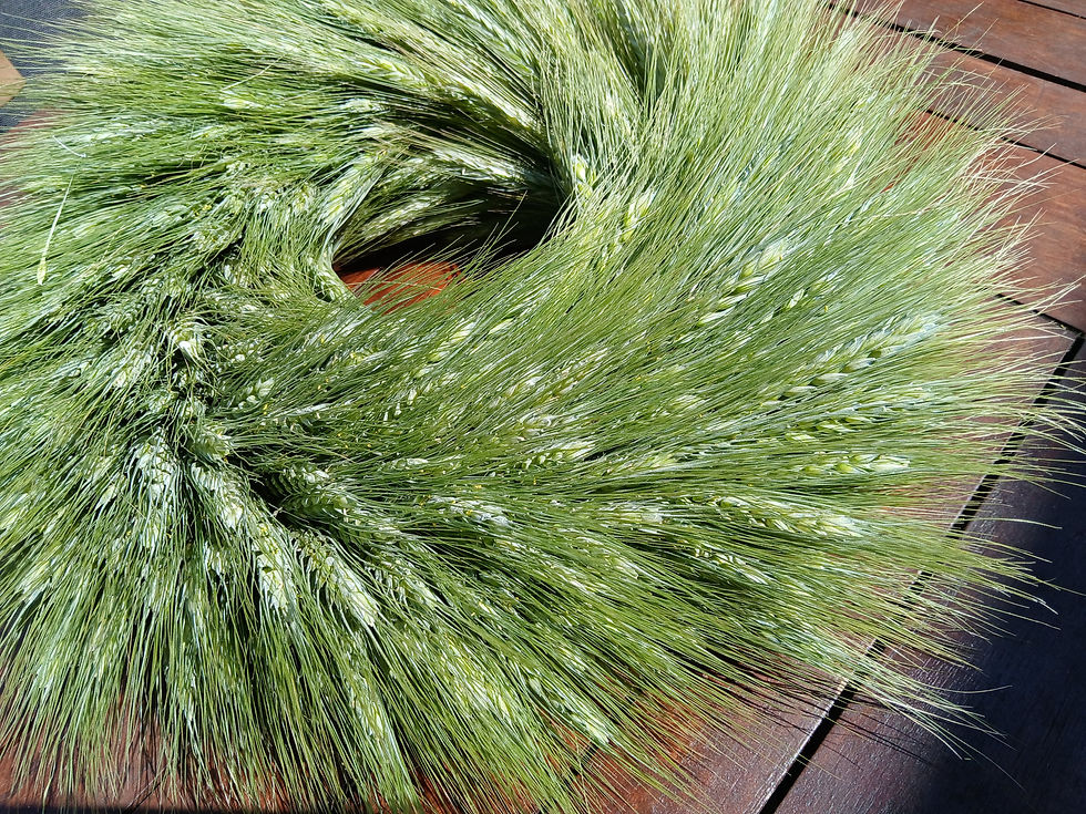 Miniaturbild: Grüner Ährenkranz