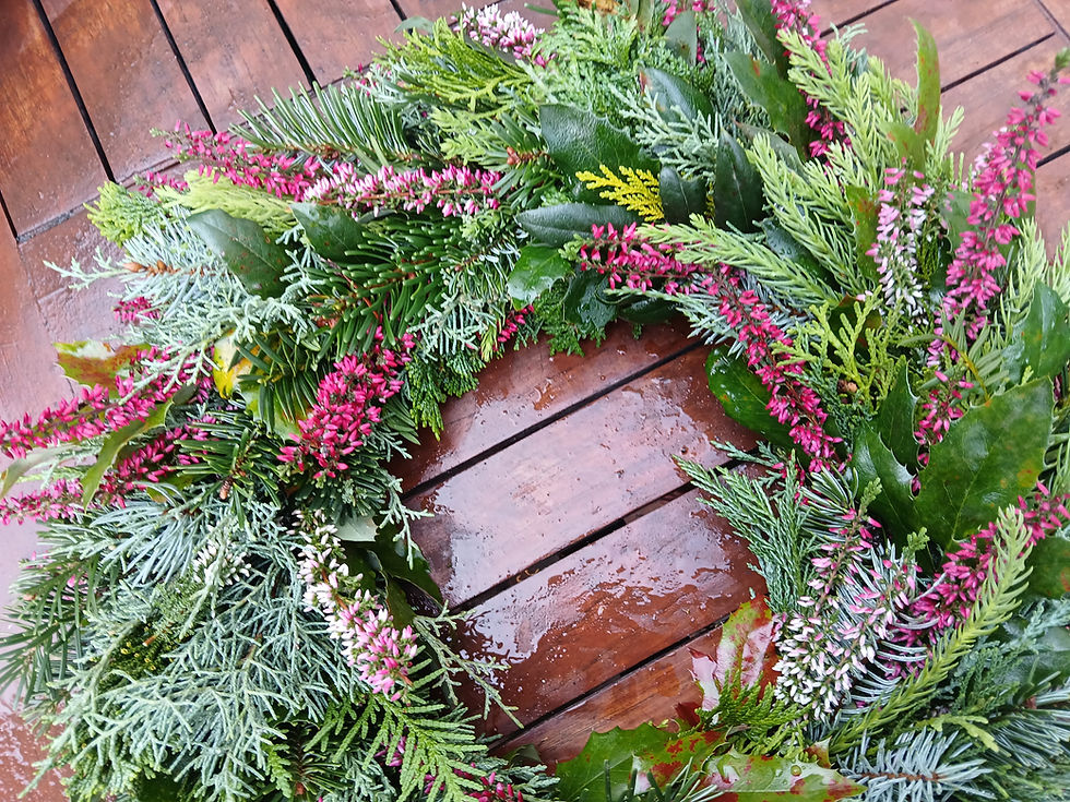 Miniaturbild: Auf der Heide