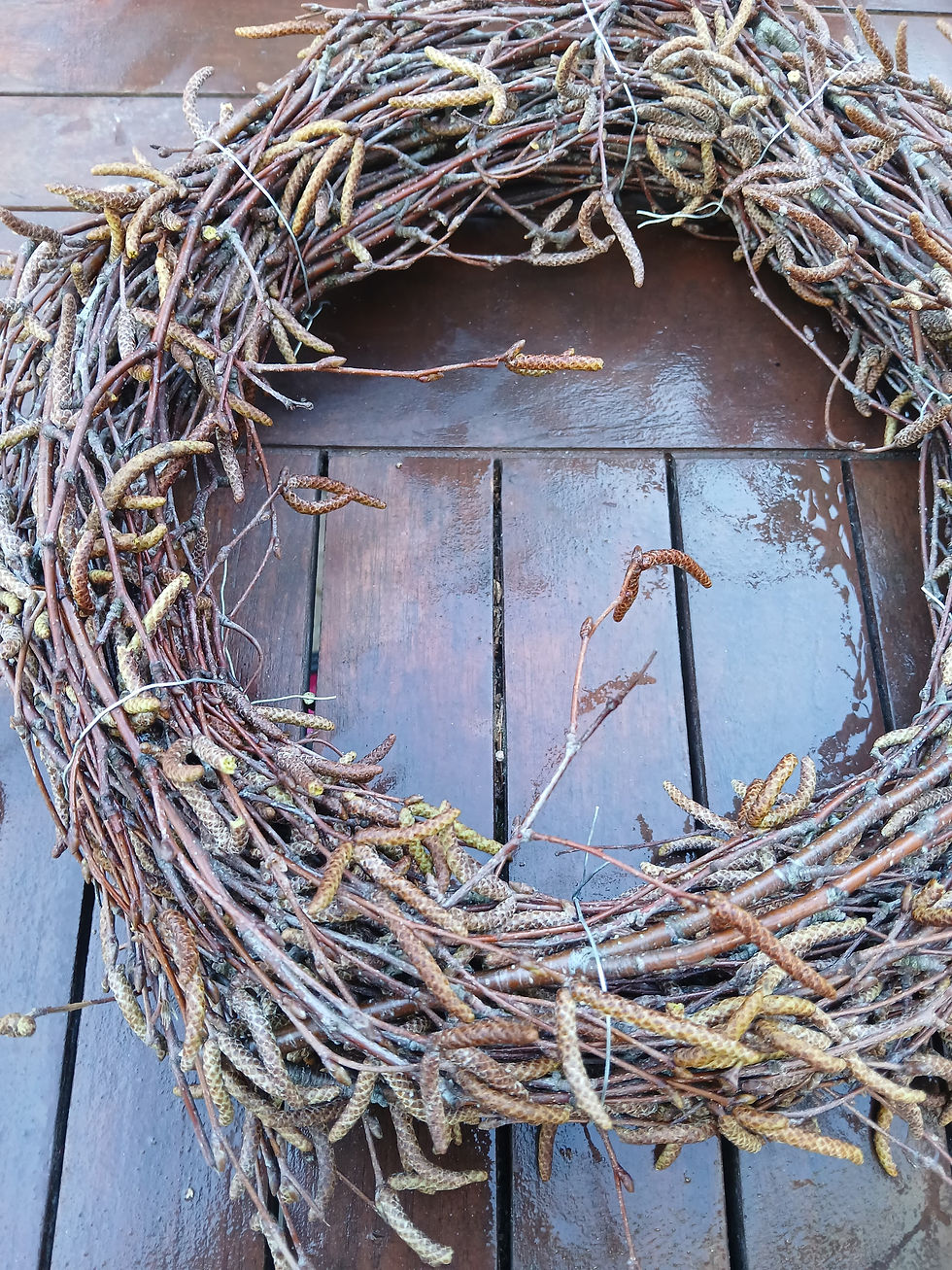 Miniaturbild: Winterlaune