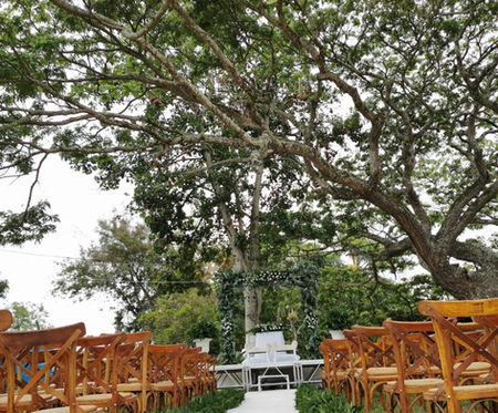Camino blanco con sillas de madera; ceremonia al aire libre. bodas especiales bodas