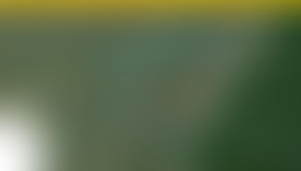 EL RIO BITA será un río protegido