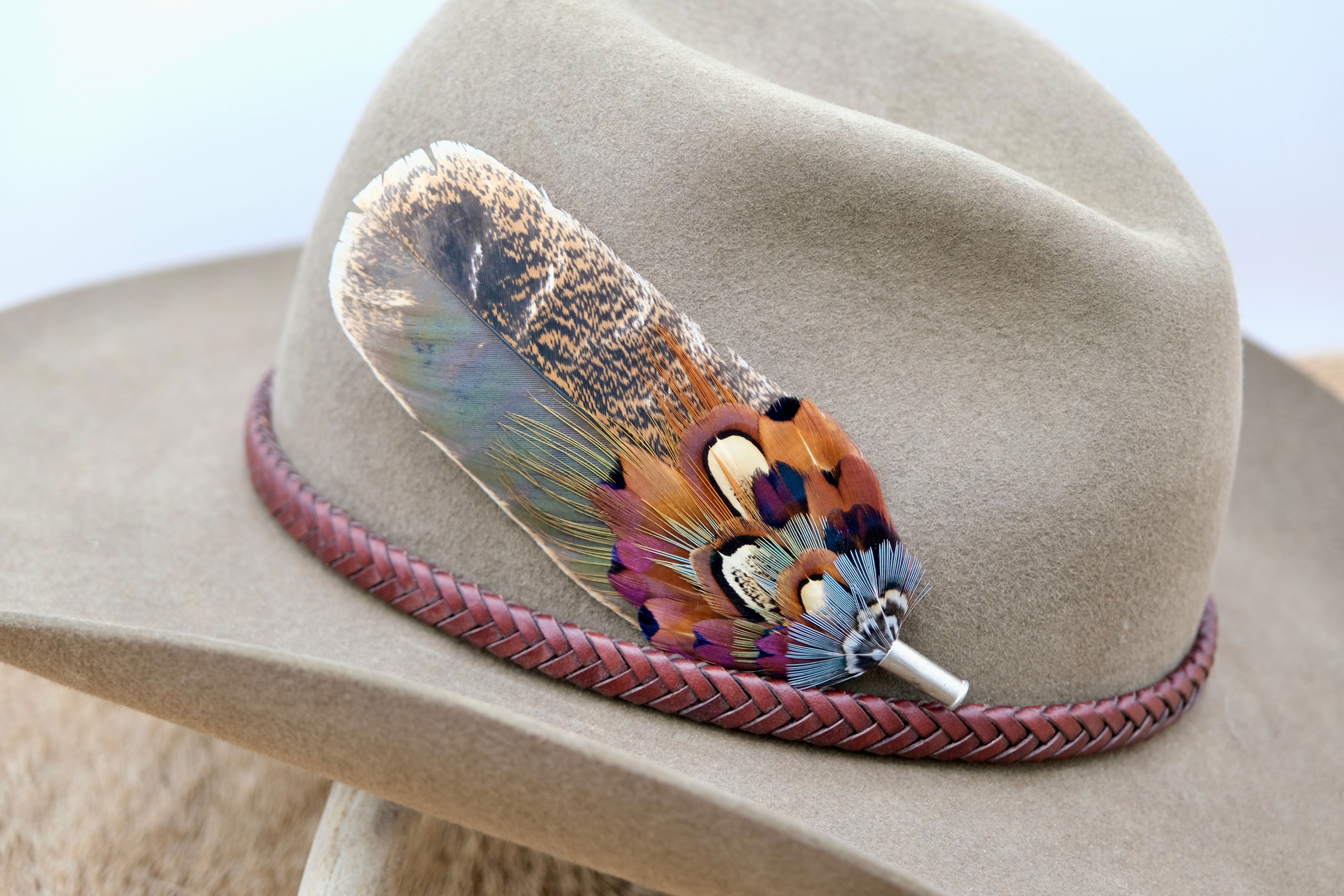 Sunday Morning Plume