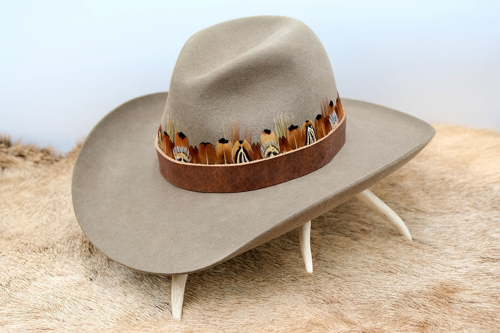 Thumbnail: Sawatch Range Band