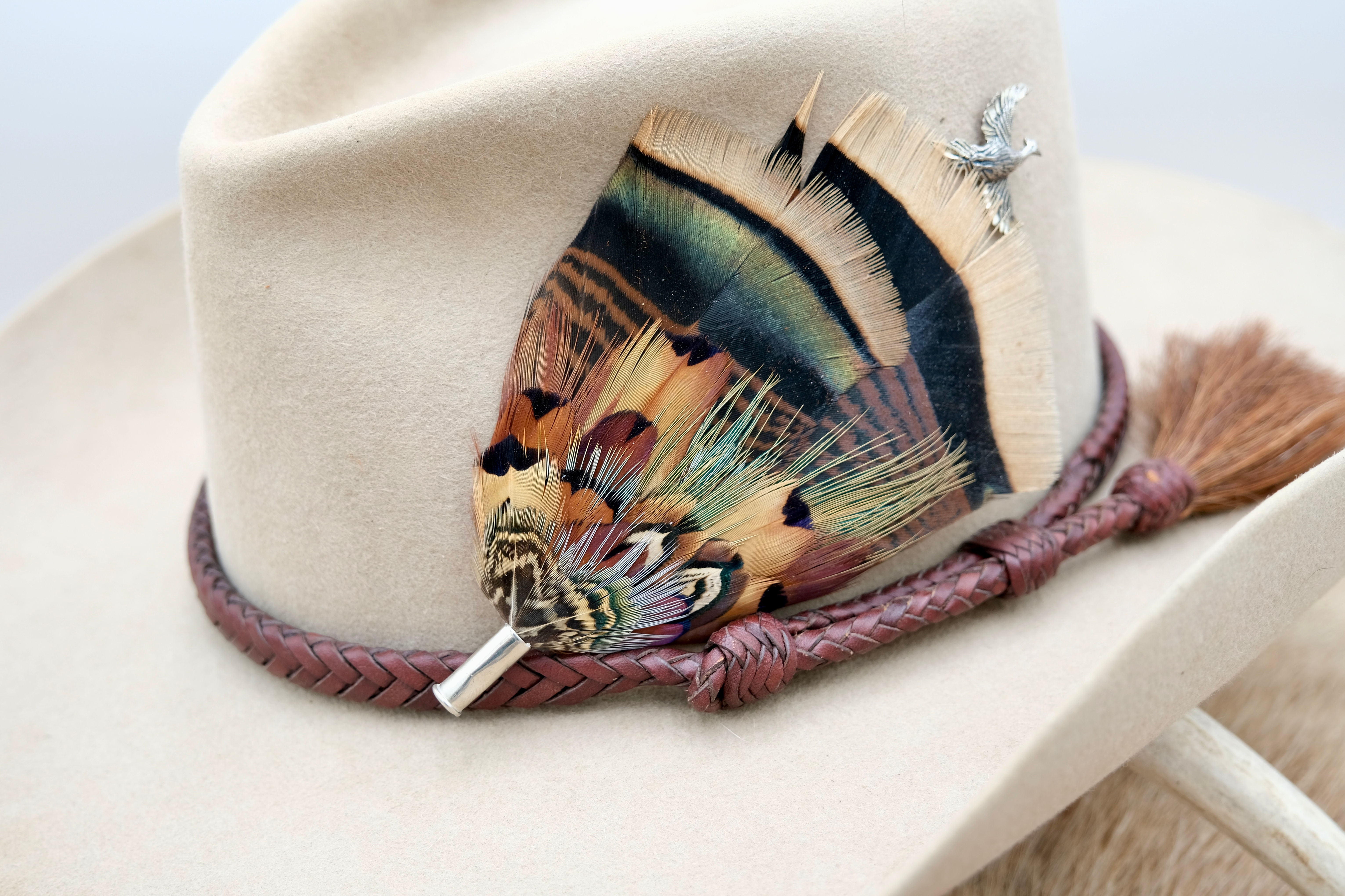 The Light Show Plume