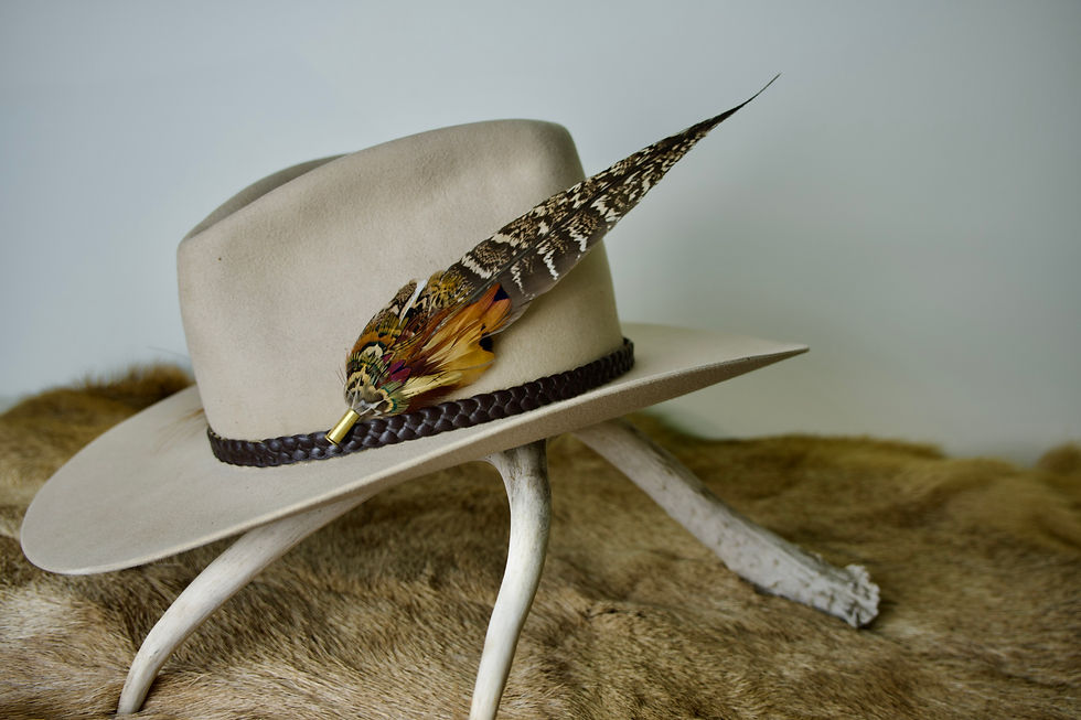 Magnetic Hat Plume