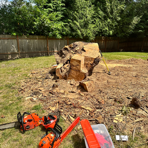 Seattle, WA | Junk Removal Services | Aloha Bros Junk Removal | https://www.alohabrosjunk.com/