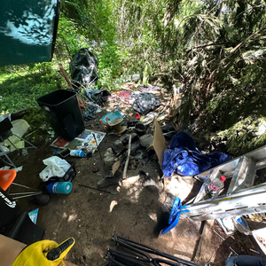 Seattle, WA | Junk Removal Services | Aloha Bros Junk Removal | https://www.alohabrosjunk.com/