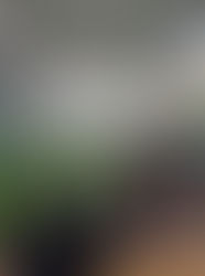 Pascua en comunidad: “Queremos ver a Jesús”