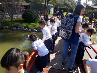 Las Salas de 5 en el Jardín Japonés