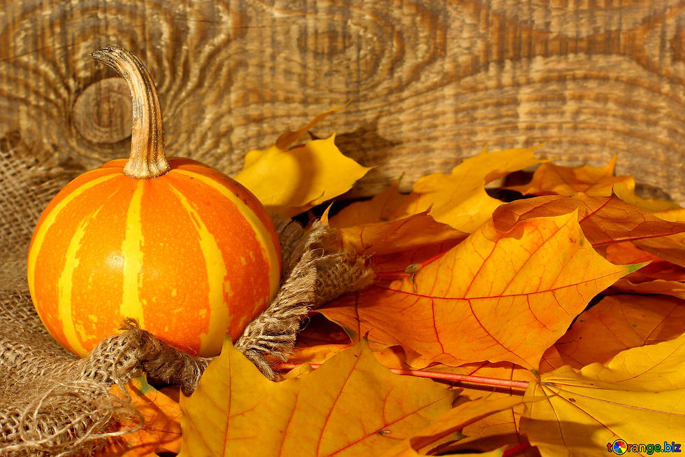leaves-autumn-pumpkins-wallpaper-pumpkin-35452.jpg