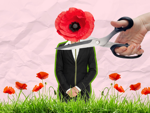 Tall Poppy Syndrome: The Punishment for Standing Out