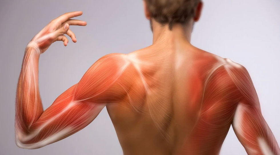 (Figure 1. Sore muscles)